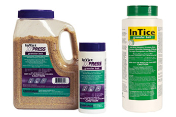 Granular-Treatment-Ants