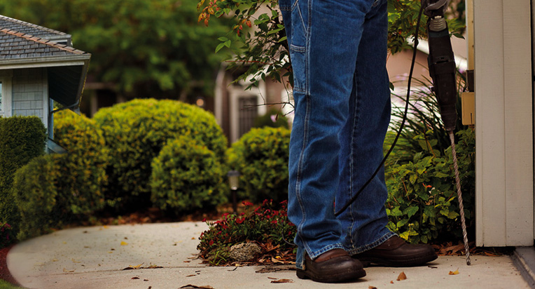 #1 Pest Control Service